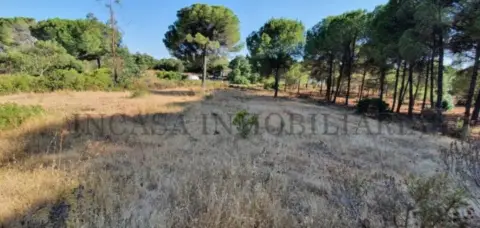 Finca rústica en Valverde del Camino