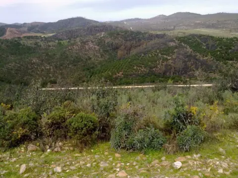Finca rústica en Valverde del Camino