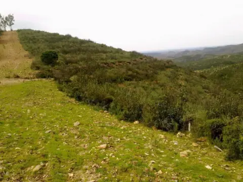 Finca rústica en Valverde del Camino