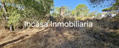 Terreno en Valverde del Camino