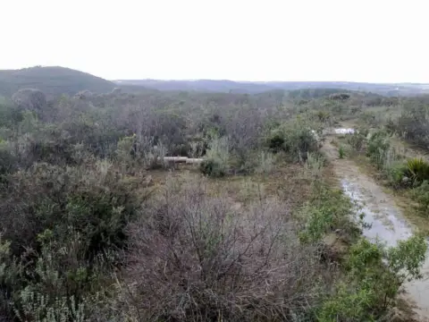 Finca rústica en La Contenida