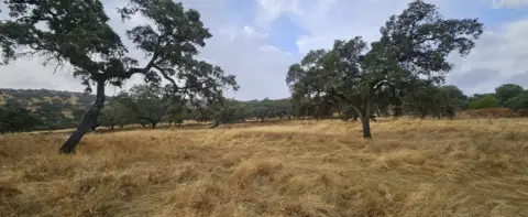 Finca rústica en Fuente del Berecillo