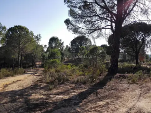 Finca rústica en Los Pinos