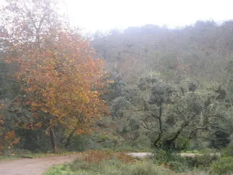 Finca rústica en Aguafria