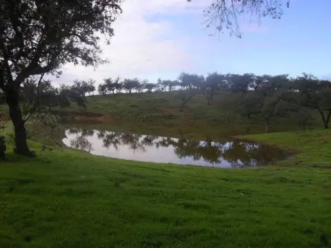Finca rústica en El Patrás
