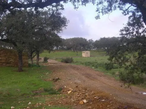 Finca rústica en El Patrás