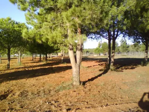 Finca rústica en Fuente de La Corcha