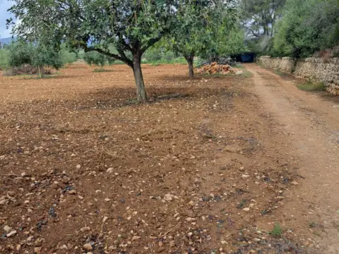 Finca rústica en Polígono 7
