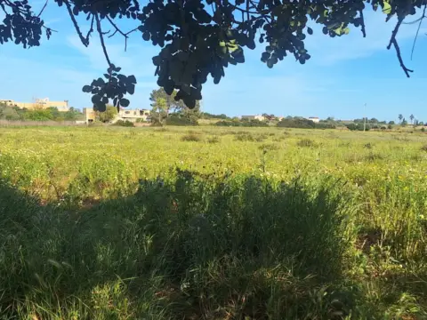 Terreno en Porto Cristo