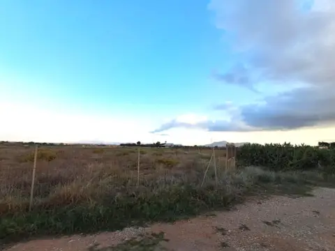 Finca rústica en Carretera los Castillejos