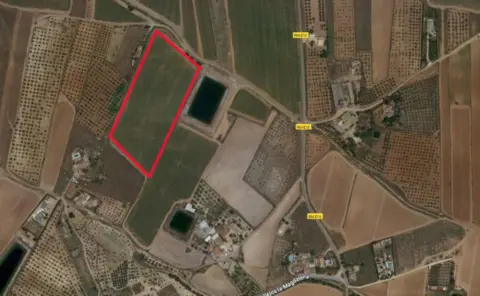 Finca rústica en Carretera los Castillejos