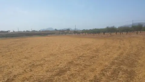 Terreno en Cuesta Blanca- Camino A La Magdalena