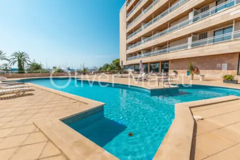 Estudio en Carrer de Monsenyor Palmer