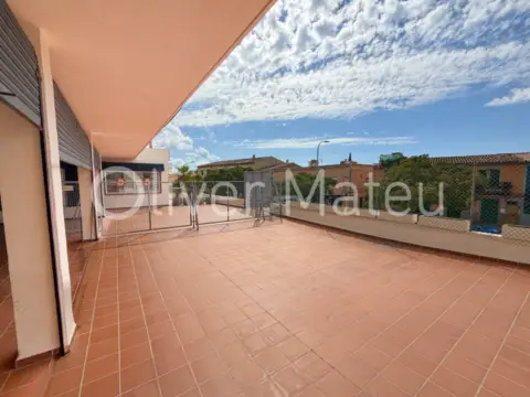 Local comercial en Camí de Son Rapinya, 46