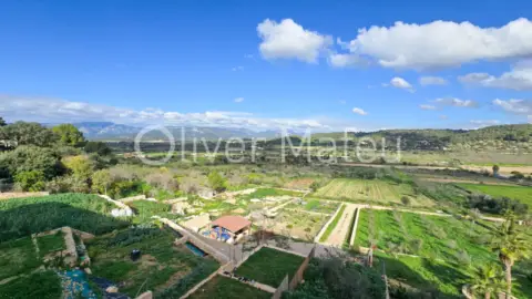 Chalet adosado en Sa Cabaneta