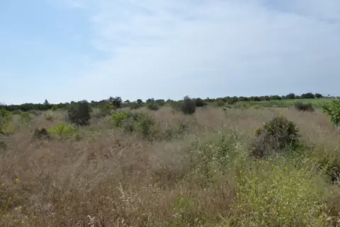 Finca rústica en Poble de Benicarló