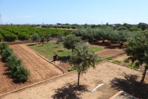 Finca rústica en La Volta