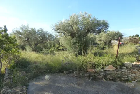 Finca rústica en Càlig