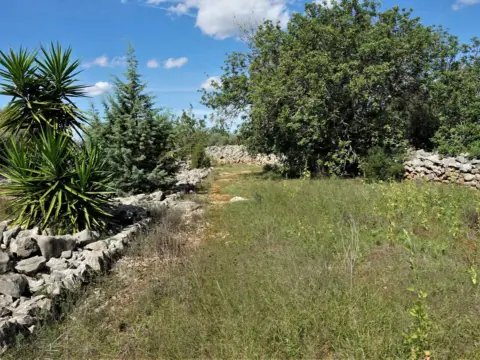 Finca rústica en Cervera del Maestre