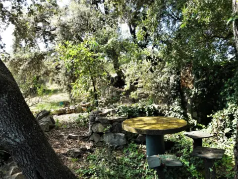 Finca rústica en Cervera del Maestre