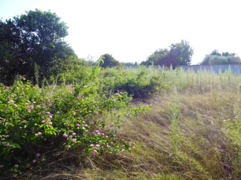 Finca rústica en Poble de Benicarló