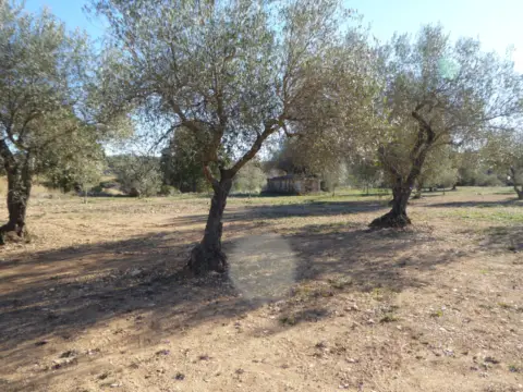 Finca rústica en Camino Partida los Flares