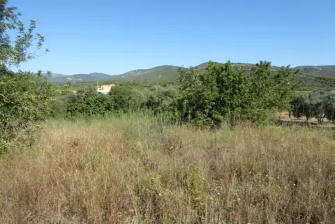 Finca rústica en Santa Magdalena de Pulpis