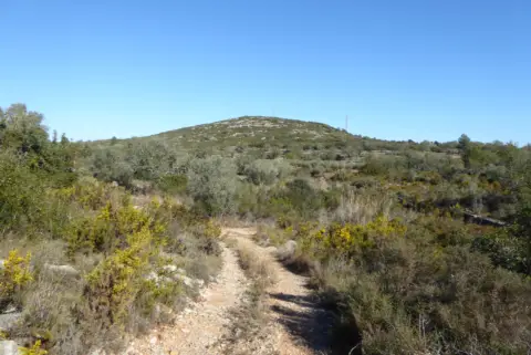 Finca rústica en Cervera del Maestre