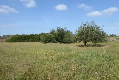 Finca rústica en Càlig