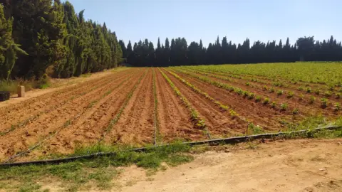 Finca rústica en Poble de Benicarló