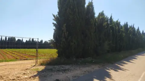 Finca rústica en Poble de Benicarló