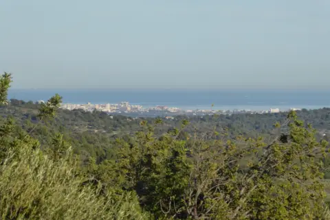Finca rústica en Cervera del Maestre