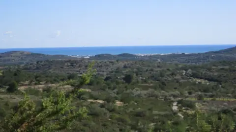 Finca rústica en Cervera del Maestre