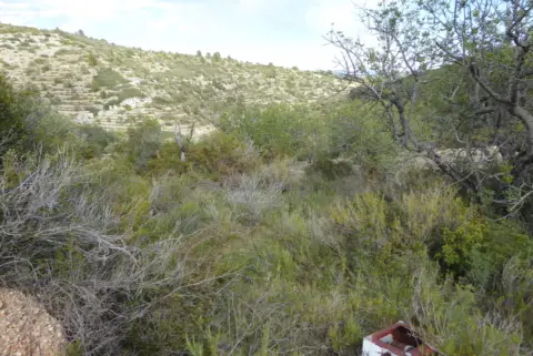 Finca rústica en Cervera del Maestre