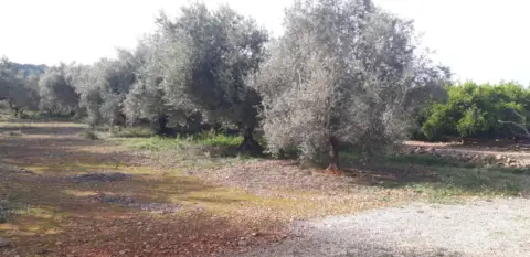 Finca rústica en Poble de Benicarló
