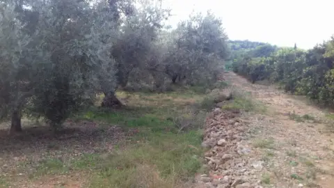 Finca rústica en Poble de Benicarló
