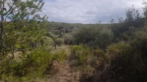 Finca rústica en Cervera del Maestre