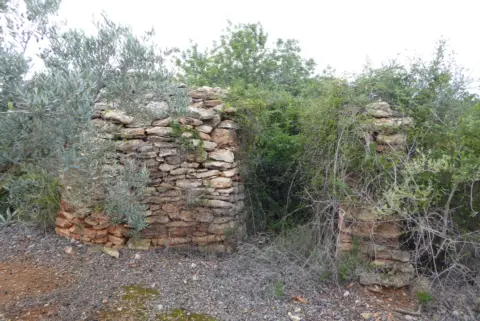 Finca rústica en Poble de Benicarló