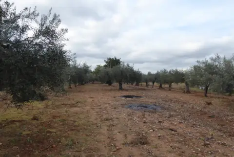 Finca rústica en Poble de Benicarló