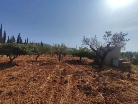 Finca rústica en Santa Magdalena de Pulpis
