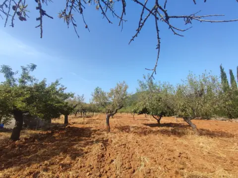 Finca rústica en Santa Magdalena de Pulpis