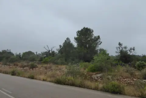 Finca rústica en Cervera del Maestre