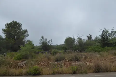 Finca rústica en Cervera del Maestre