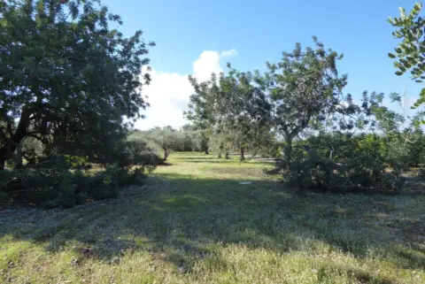 Finca rústica en Polígono 22, Partida Clotals