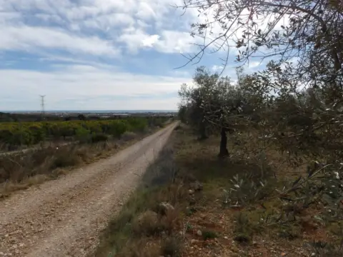 Finca rústica en Poble de Benicarló