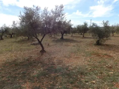 Finca rústica en Poble de Benicarló
