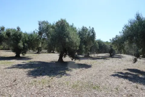 Casa – Benicarló