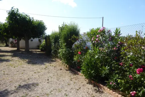 Casa – Benicarló