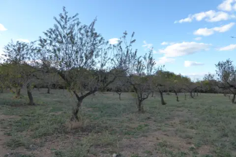 Finca rústica en Càlig