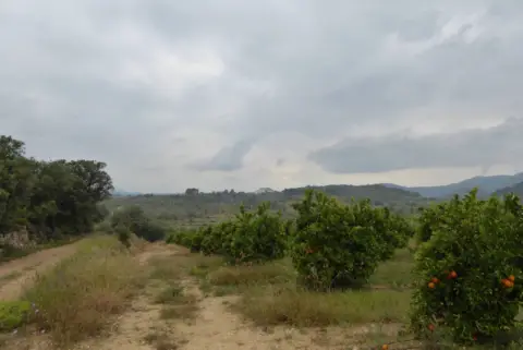Finca rústica en Càlig